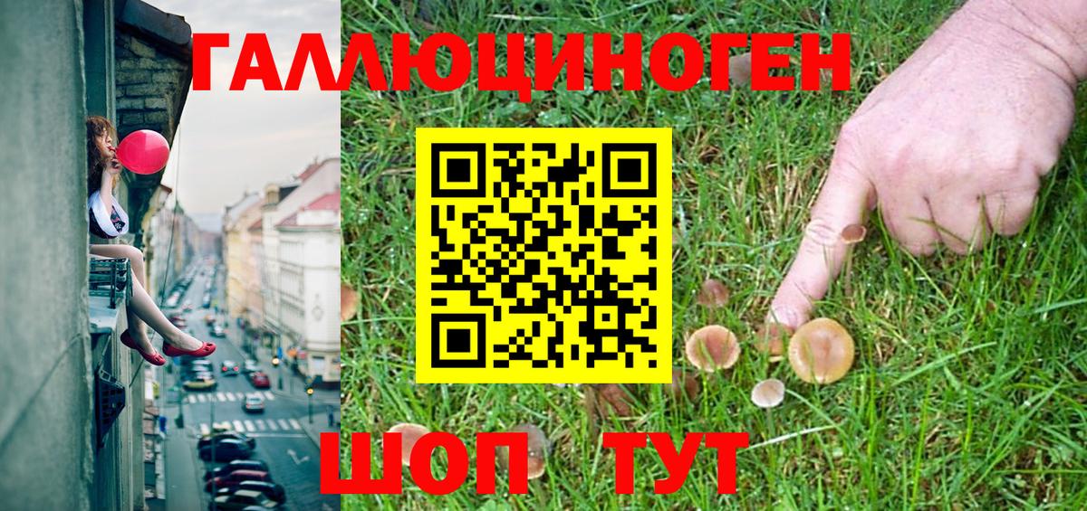 Галлюциногенные грибы прущие грибы  Скопин 