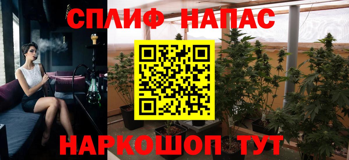 Каннабис планчик Скопин